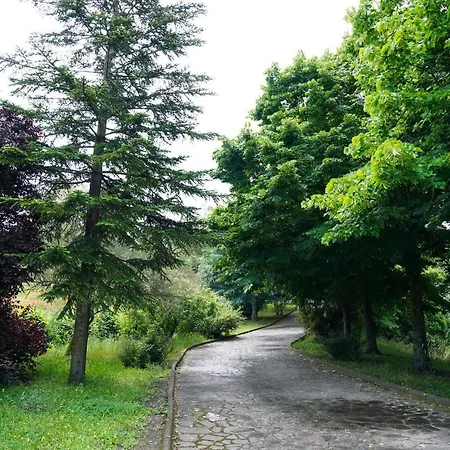 Elena Vila Montefiascone