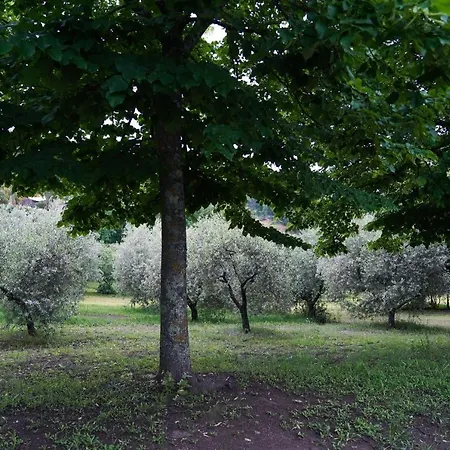 Vila Elena Montefiascone